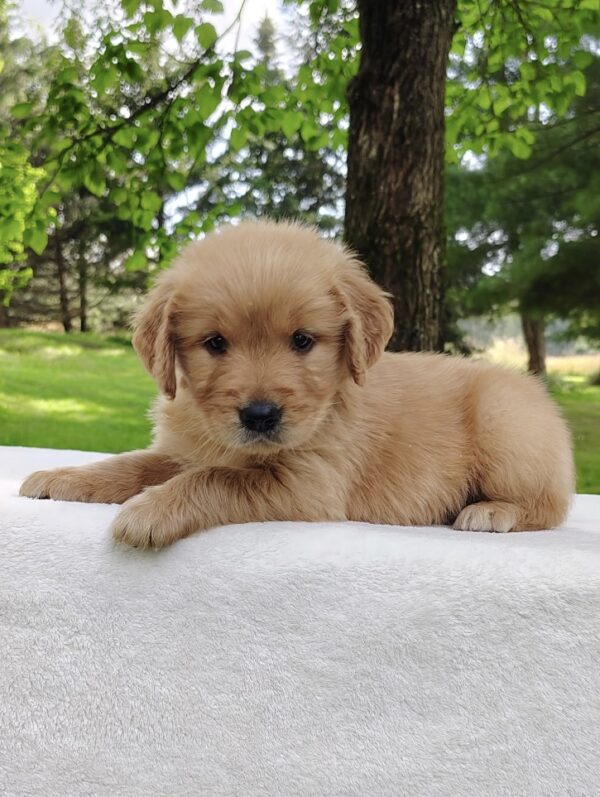 Buster