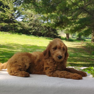 Charlie